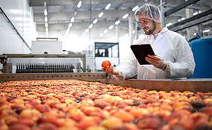 Food Manufacturing Staffing Solutions in Mississauga, Ontario
